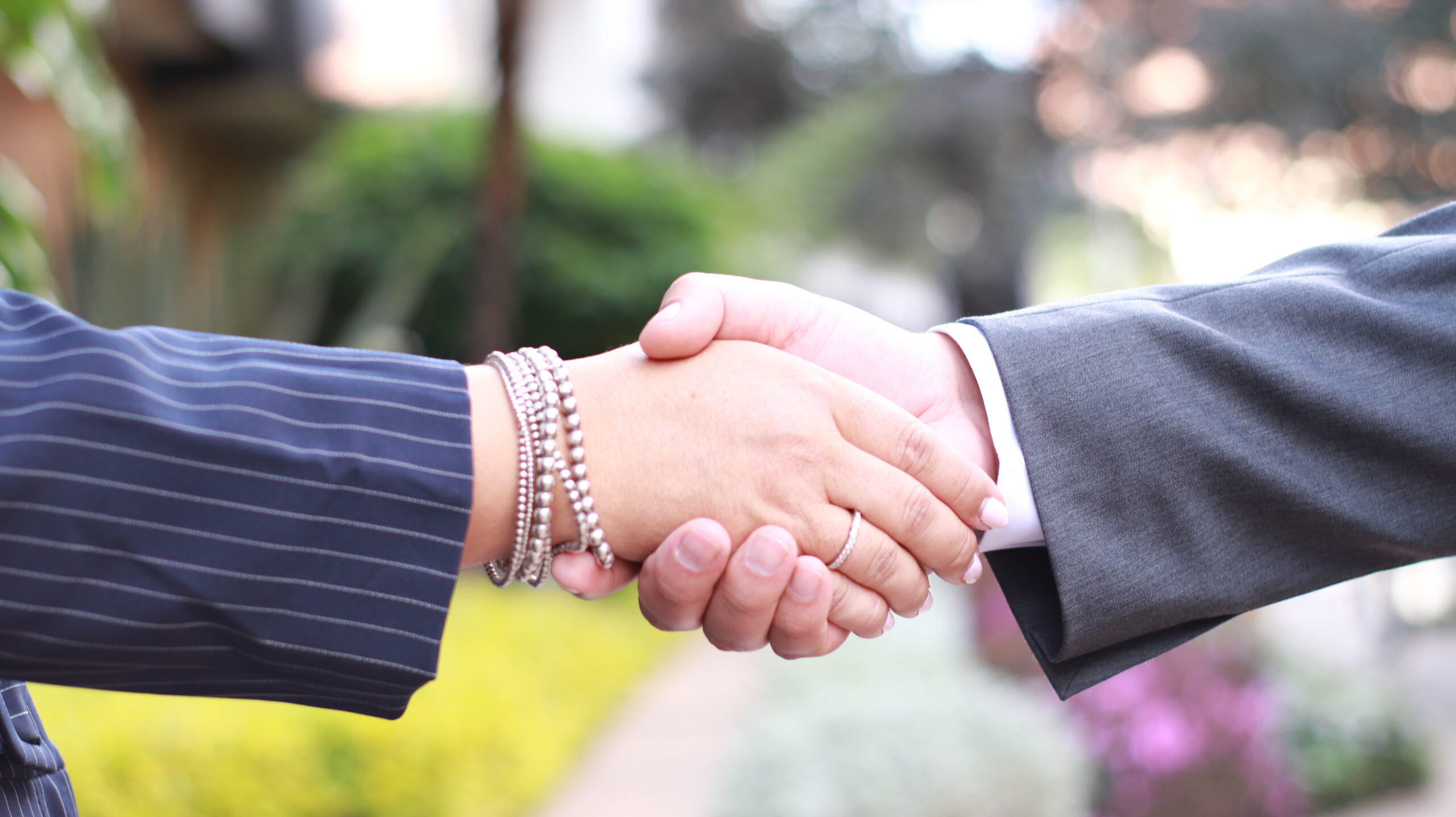 Consular process: support for attorneys case management